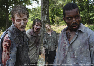 Illustration for article titled The Walking Dead season 2 promo and character photos